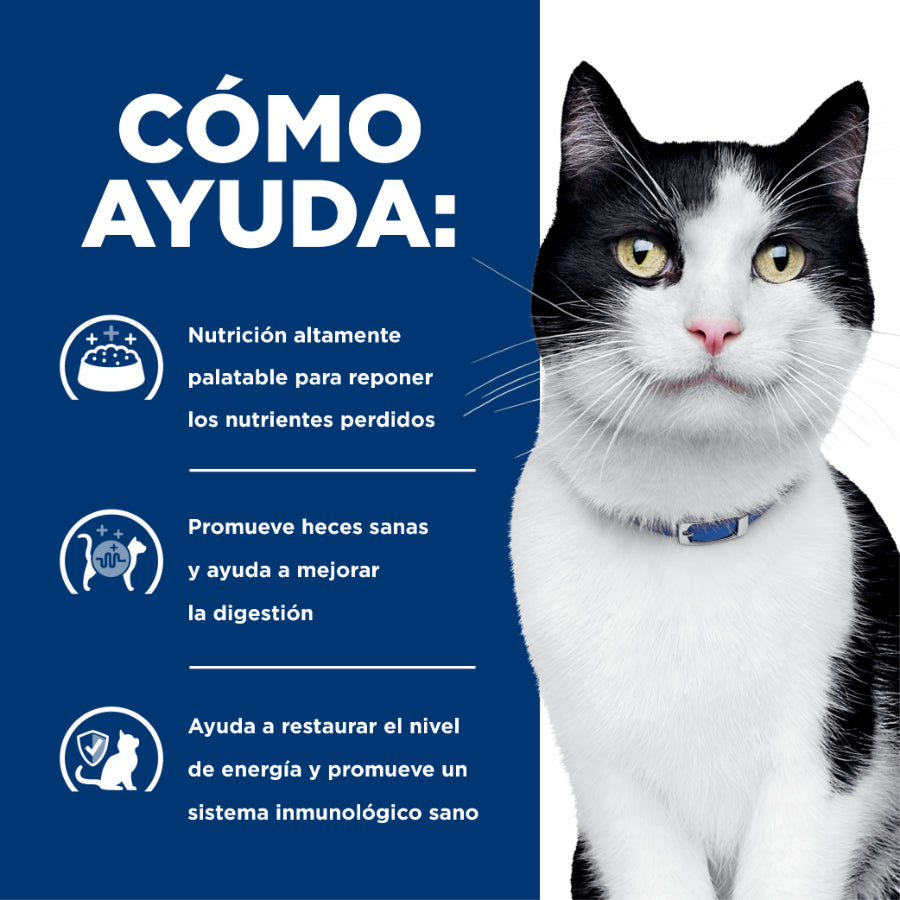 Hills Digestive Care i/d Gato 1.8 Kg