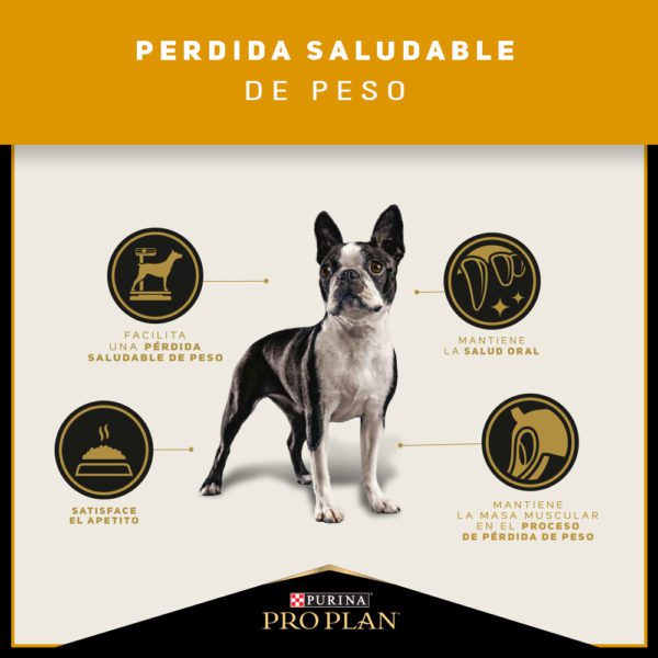 Pro Plan Reduced Calorie Razas Pequeñas 3kg