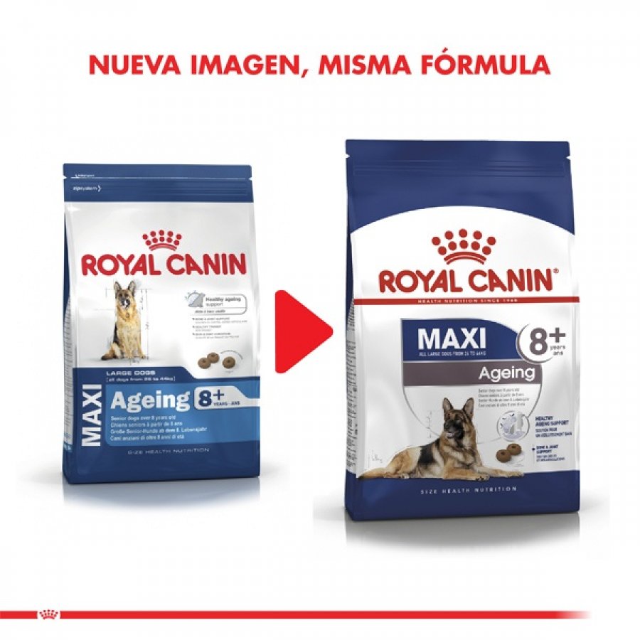 Royal Canin Maxi Ageing +8. 15 Kg