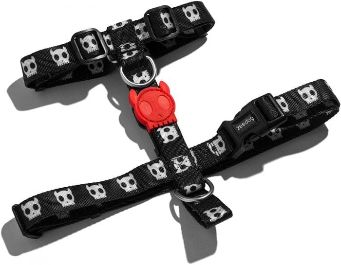 Zeedog Arnes H Skull