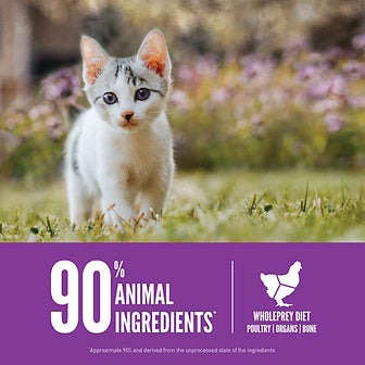 Orijen Kitten 1.8 Kg