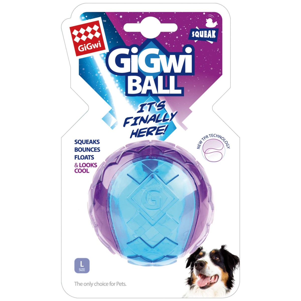 GIGWI BALL MEDIUM TRANS BLUE/PURPL