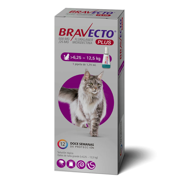 Bravecto Plus Gato de 6.25 Kg a 12.5 Kg