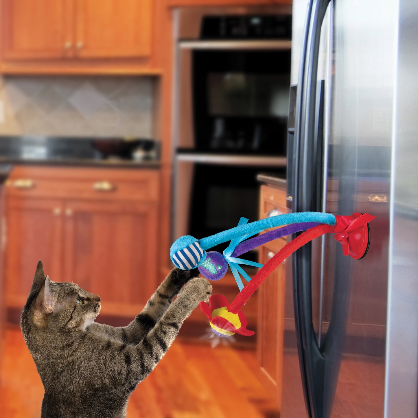 Kong Cat Connects Bat N Spring
