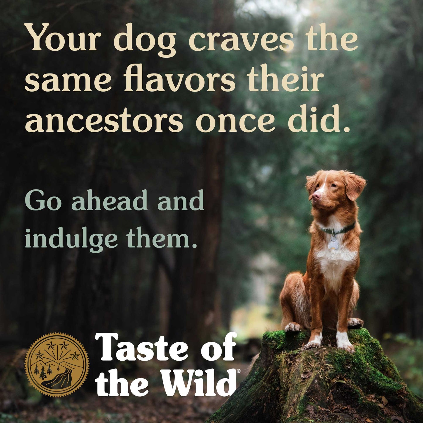 Taste of the Wild Pine Forest Canine (Venado)