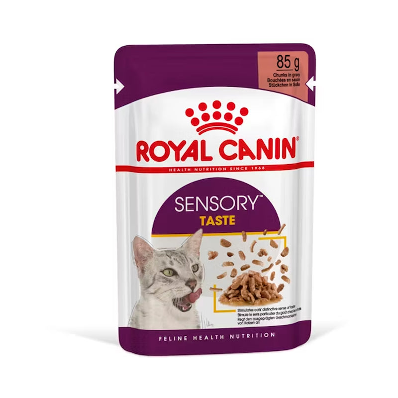 Snak especiales gatos