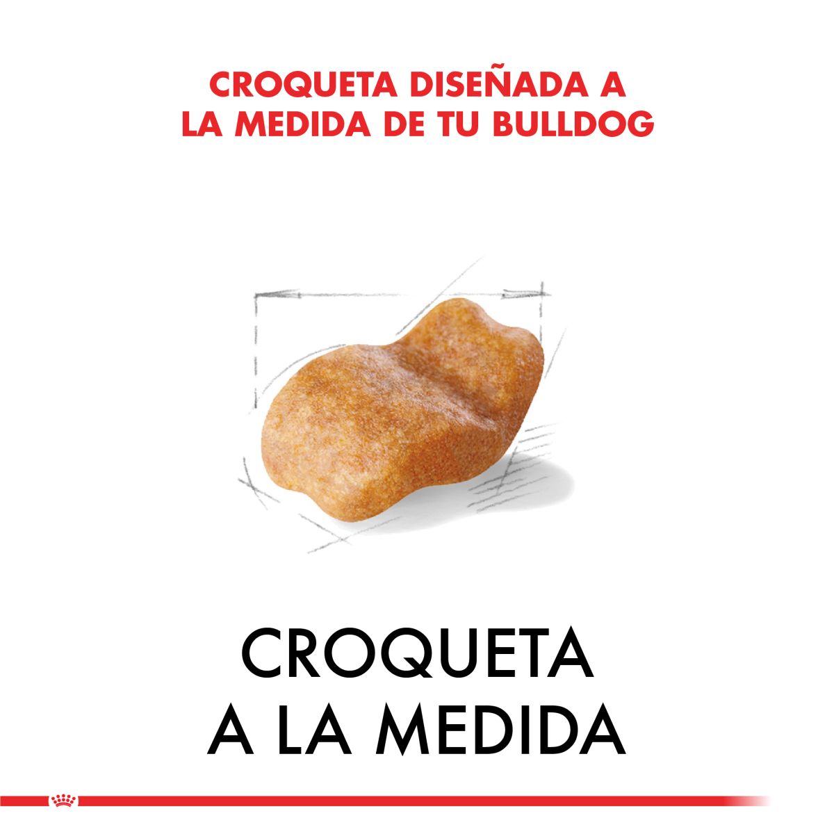 Royal Canin Bulldog Ingles Adulto 12 Kg