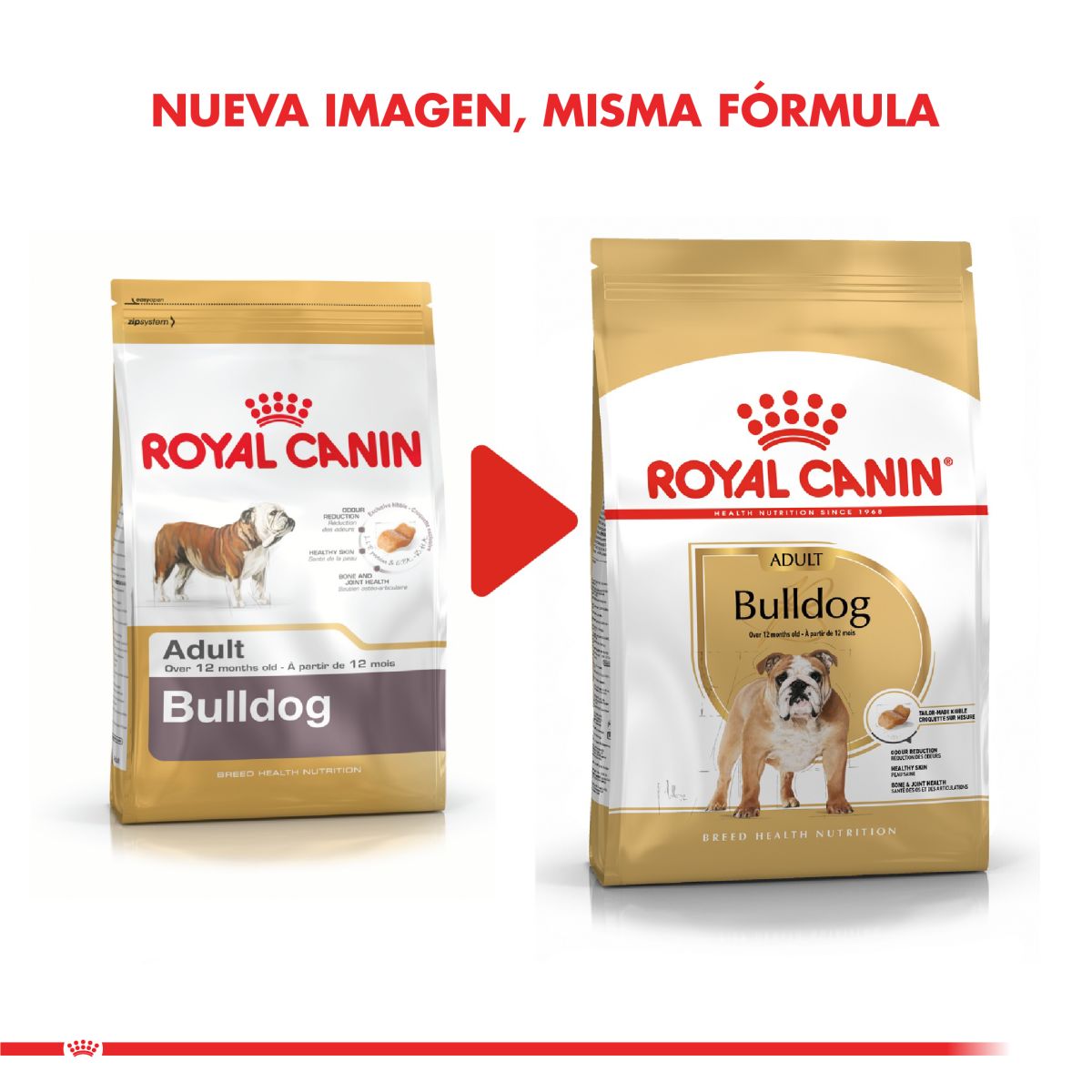 Royal Canin Bulldog Ingles Adulto 12 Kg