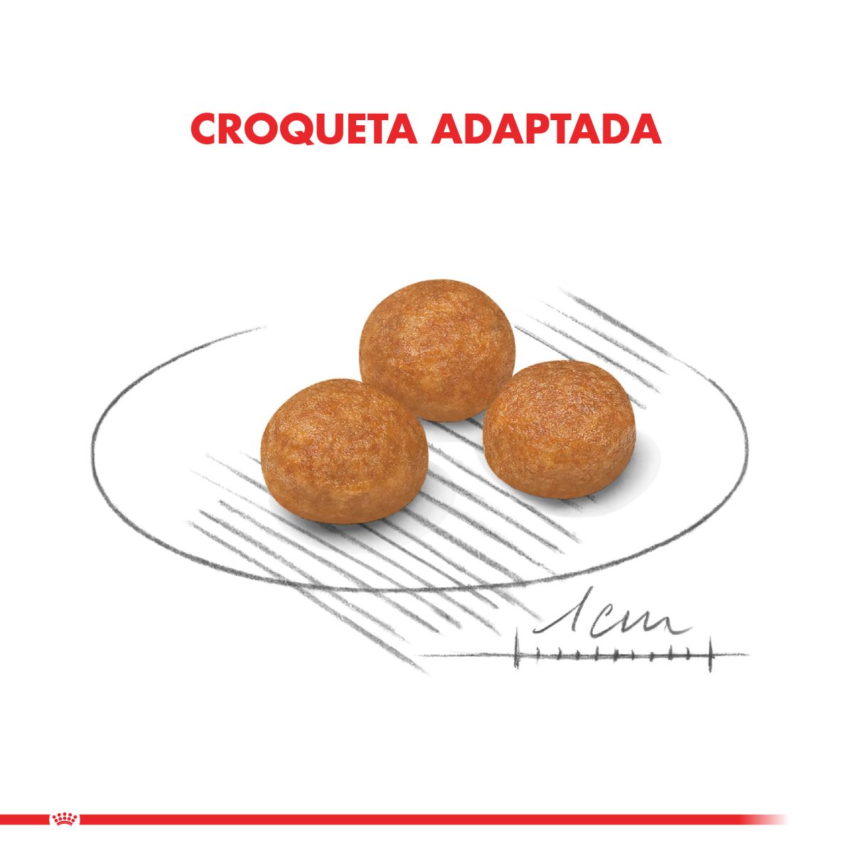 Royal Canin X-Small Adult