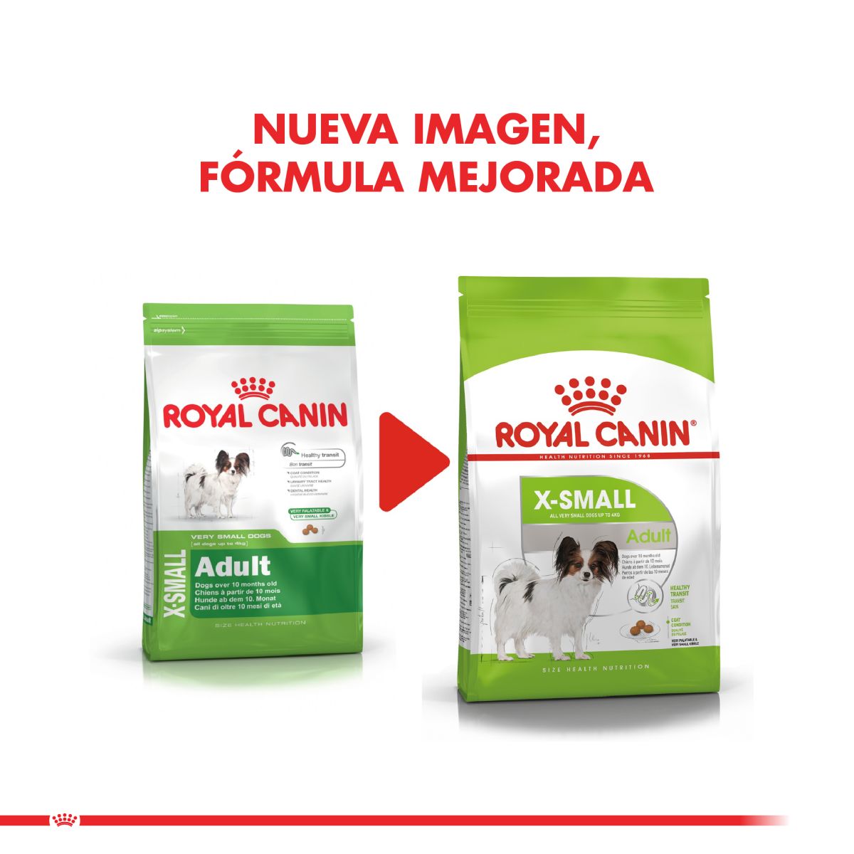 Royal Canin X-Small Adult