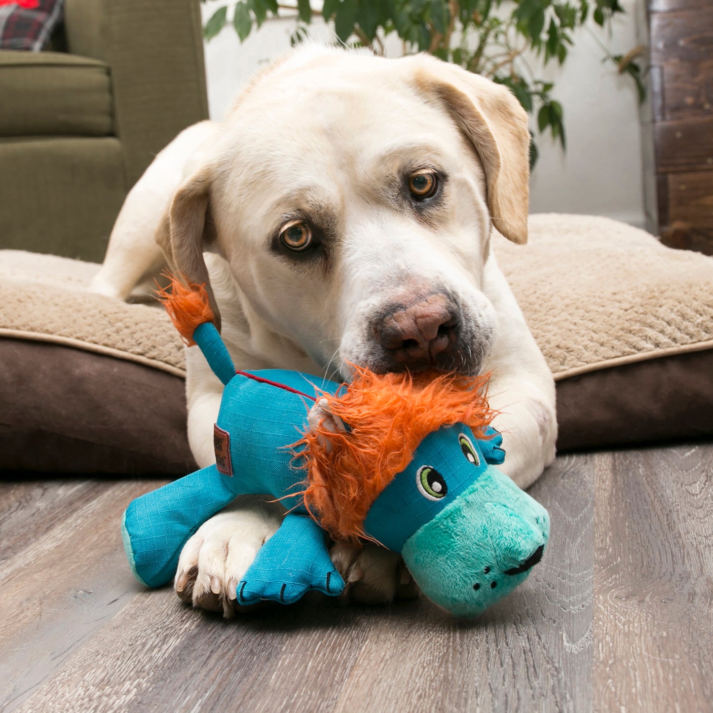 Kong Cozie Ultra Ana Cocodrillo – M
