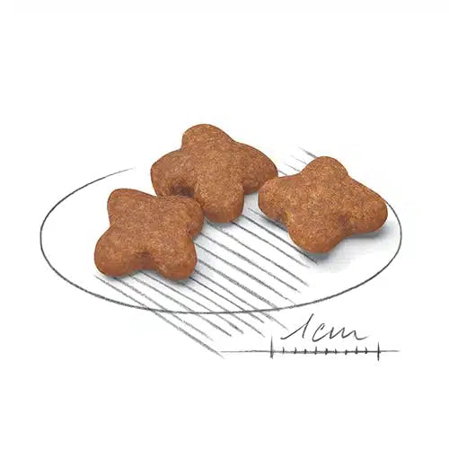 Royal Canin Mini Adulto 8+