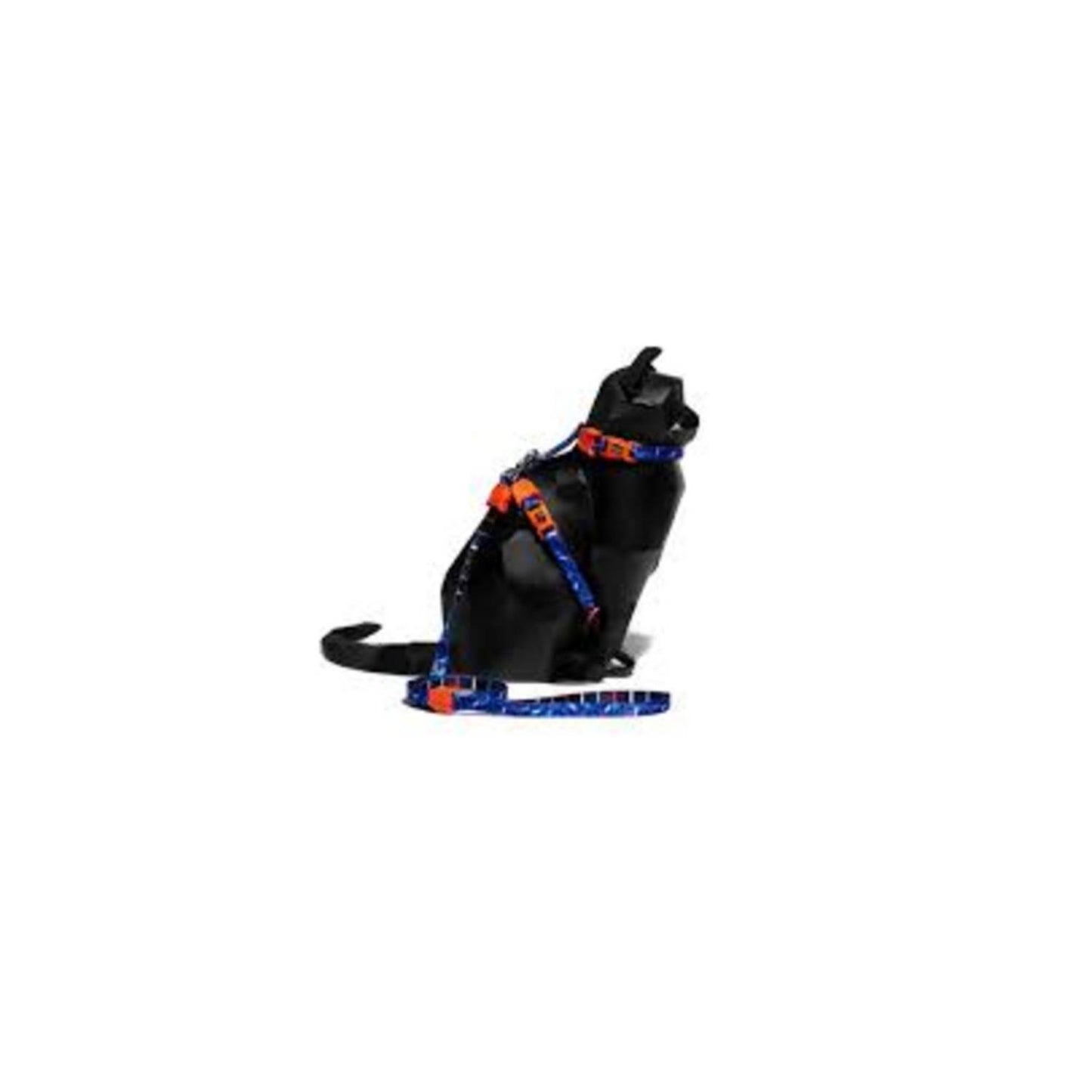 Atlanta Harness + leash set