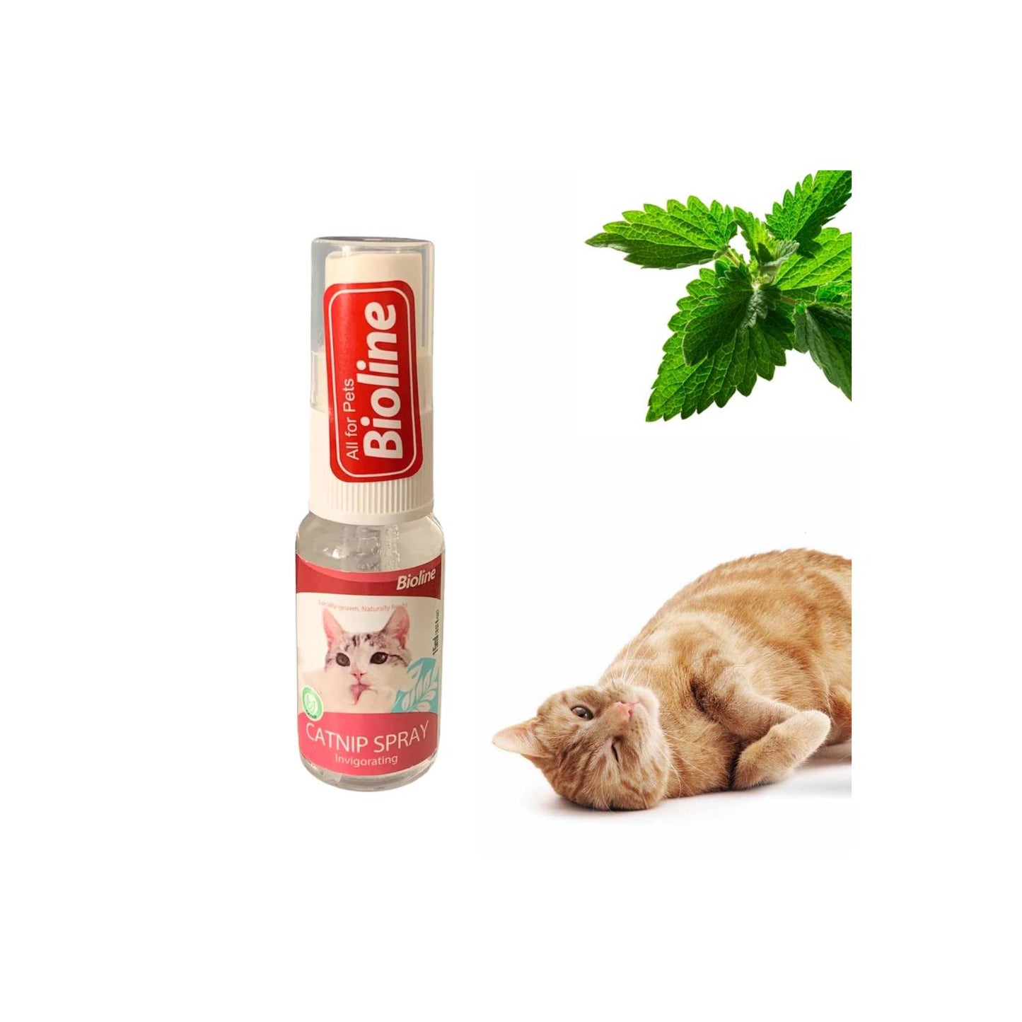 BIOLINE CATNIP Spray 15ml