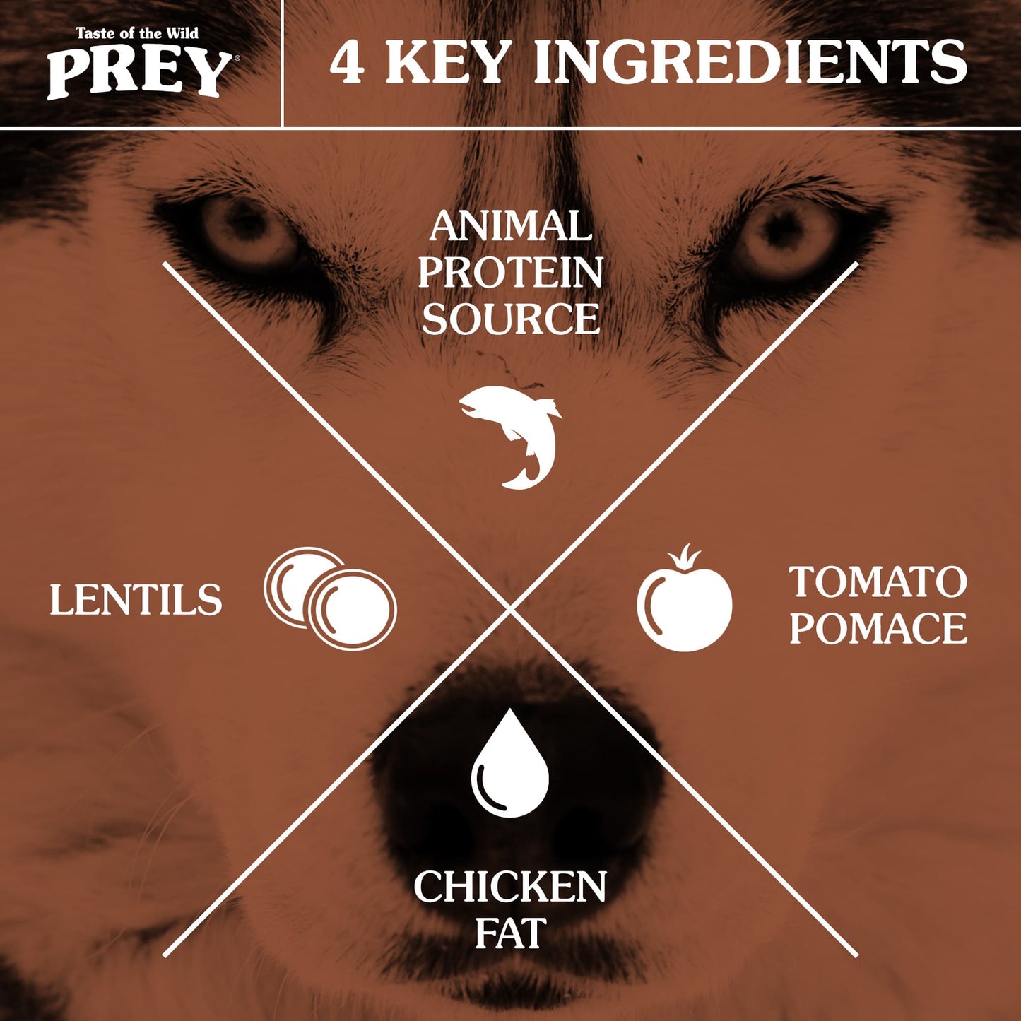 Taste of The Wild Dog Prey Formula trout (trucha) 11.36 Kg