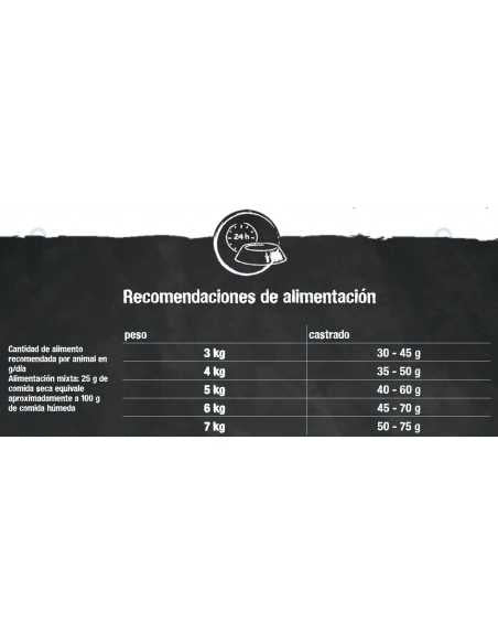 Leonardo Adult Salmon GF 1.8 Kg