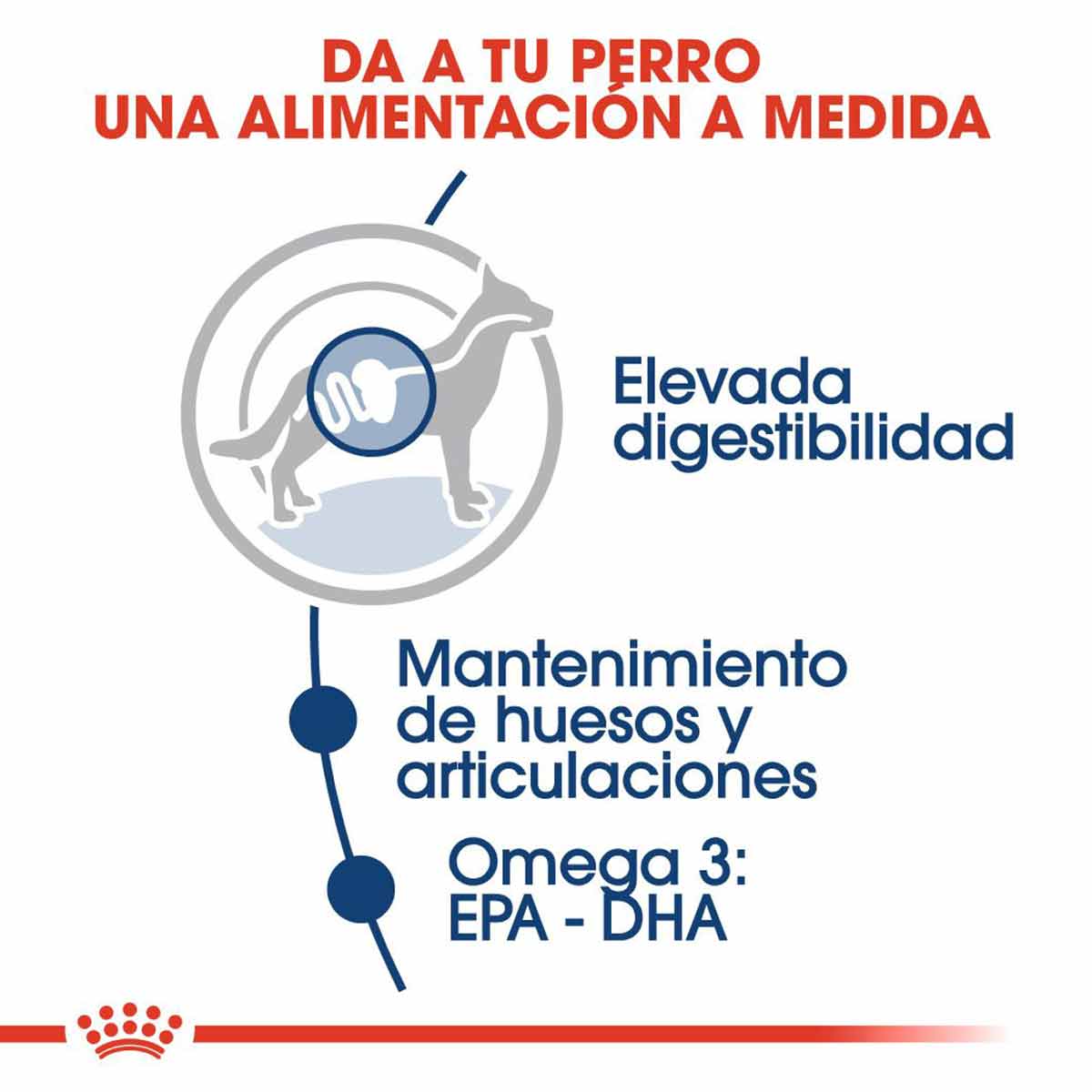 Royal Canin Maxi Adulto 15 kg