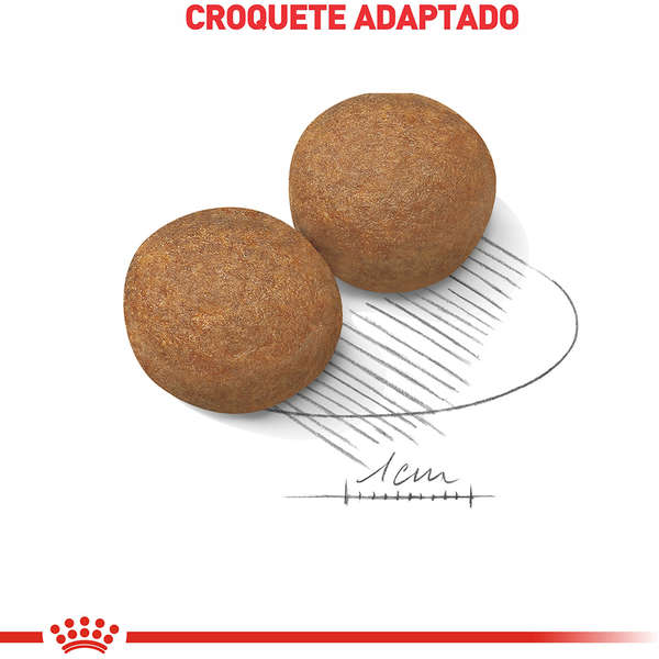 Royal Canin Maxi Adulto 15 kg