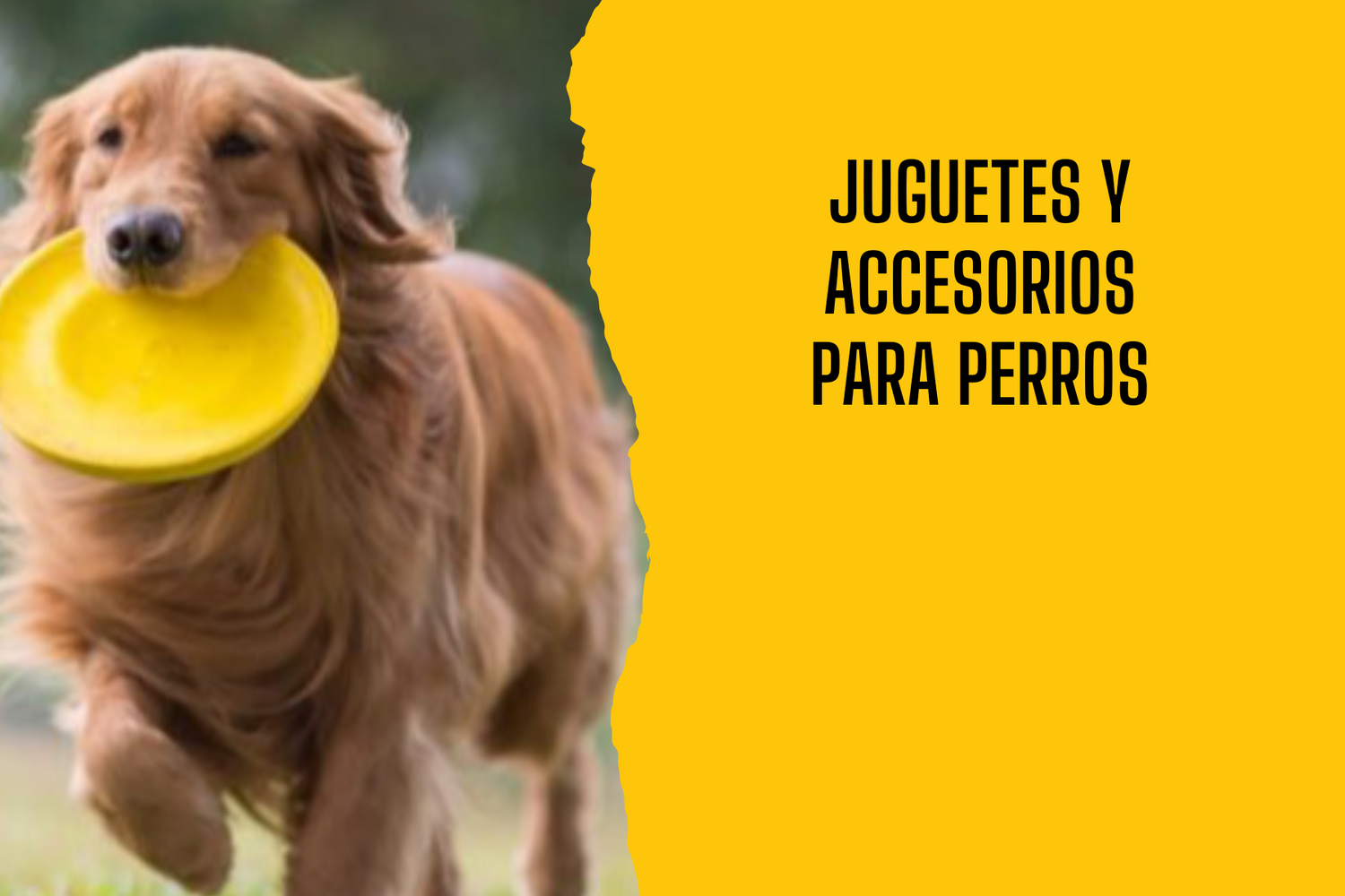 Juguetes y accesorios para perros