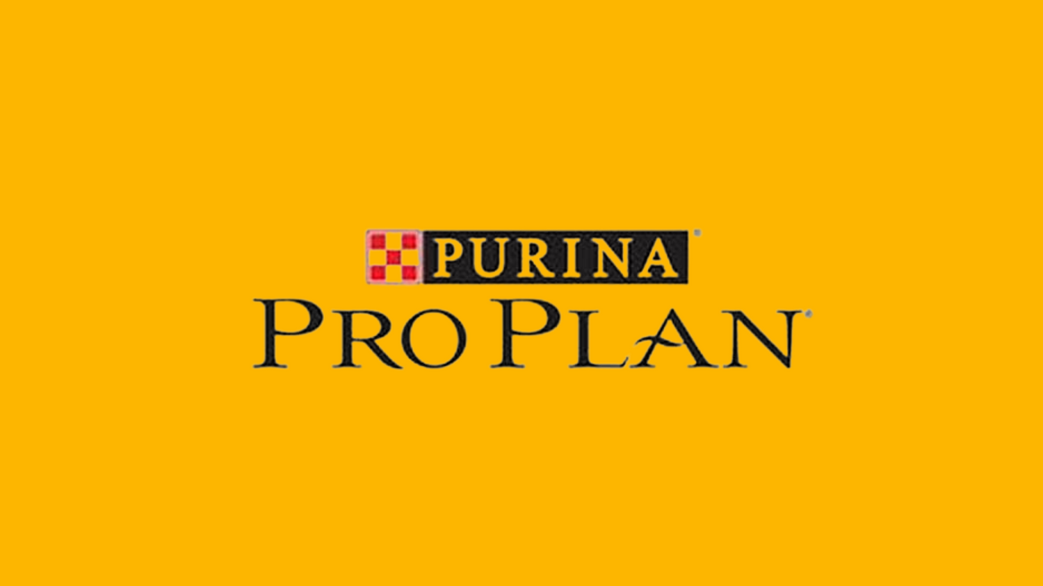 Pro Plan