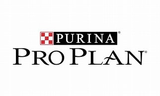 Pro Plan