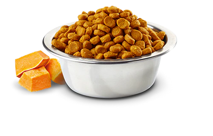 N&D Pumpkin Feline Pato y Melón 1.5 Kg