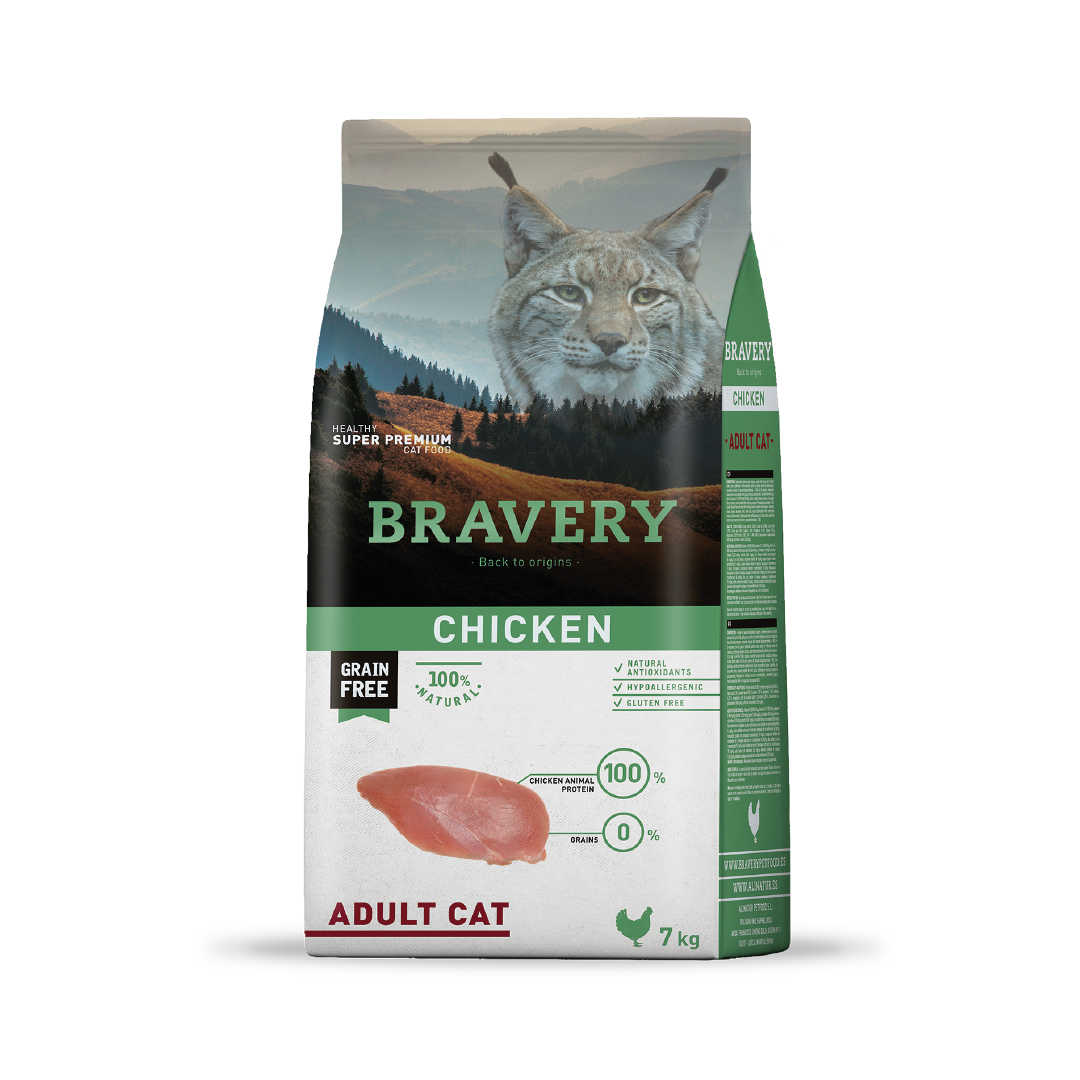 Bravery Chicken Adult Cat