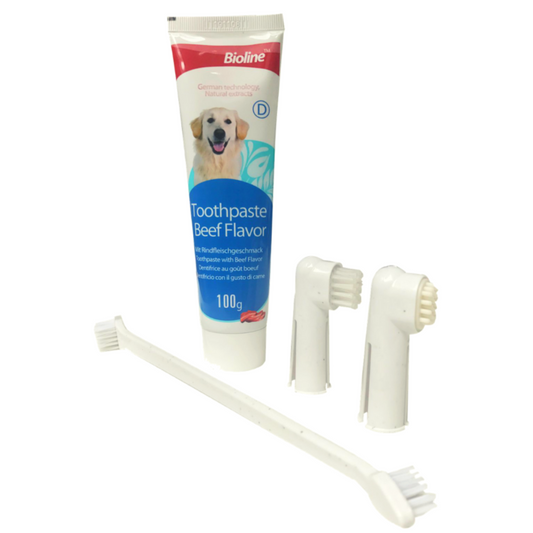 KIT DENTAL CON PASTA SABOR CARNE