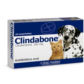 CLINDABONE CLINDAMICINA Perros y Gatos 165 MG