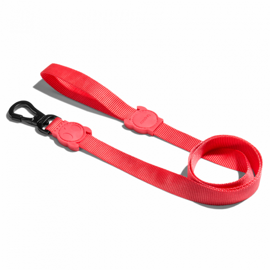 Zeedog Collar Neon Coral
