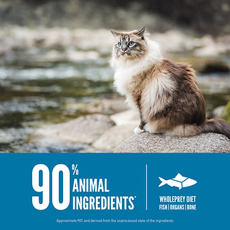 Orijen Six Fish Cat