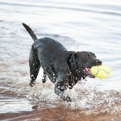 Kong Puppy Goodie Bone