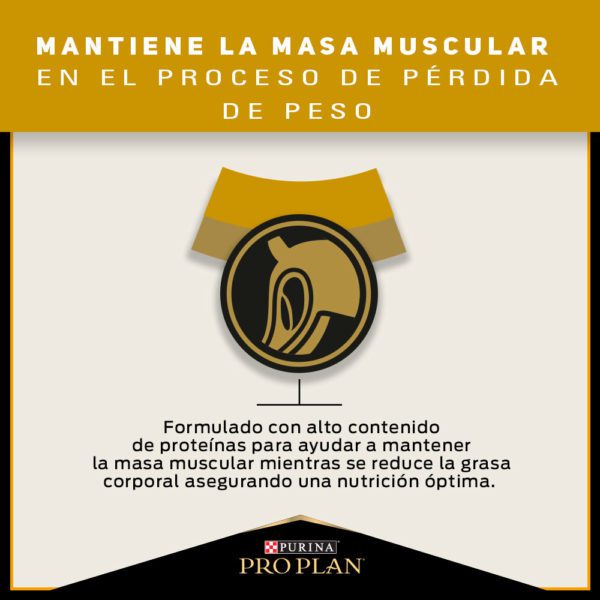 Pro Plan Reduced Calorie Razas Pequeñas 3kg