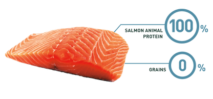 Bravery Salmon Adult Large / Medium Breeds