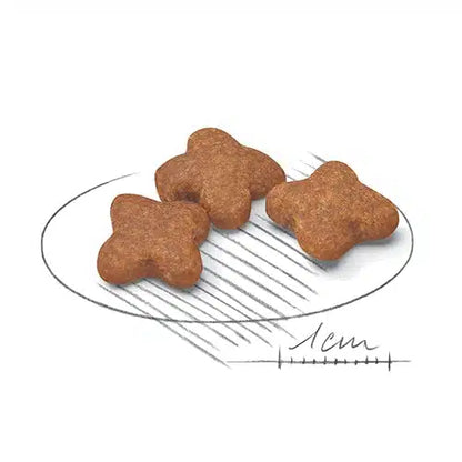Royal Canin Mini Adulto 8+