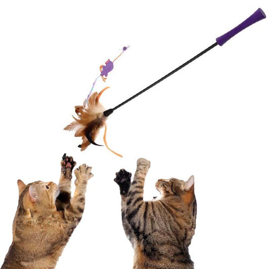 VARILLA PARA GATO GIWI