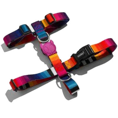 Zeedog  Arnes H Prisma